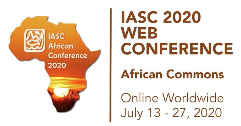 IASC conference