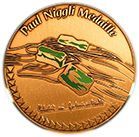 Paul Niggli Medal