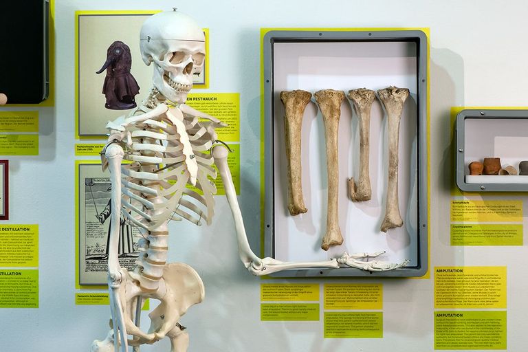 Oskar, das Skelett, besucht eine Ausstellung im Museum für Urgeschichte(n)