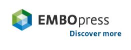Logo EMBO press