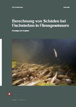 BAFU (2020) Berechnung von Schäden bei Fischsterben in Fliessgewässern
