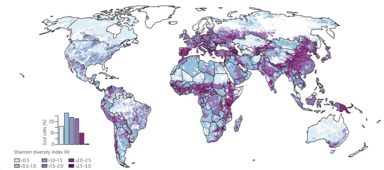 Répartition mondiale de la diversité des espèces cultivées et élevées, mesurée selon l’indice de Shannon. Un indice élevé représente un niveau élevé d’agrobiodiversité. (Données 2005 ; source de la carte : Herrero et al. 2017)