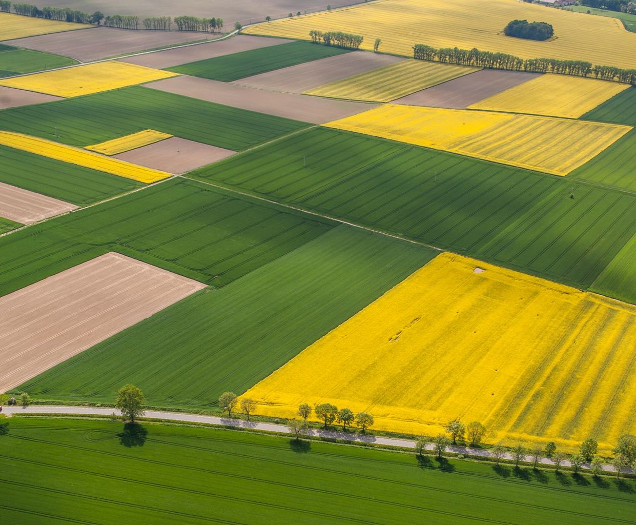 Aerial view of the harvest fields in Poland