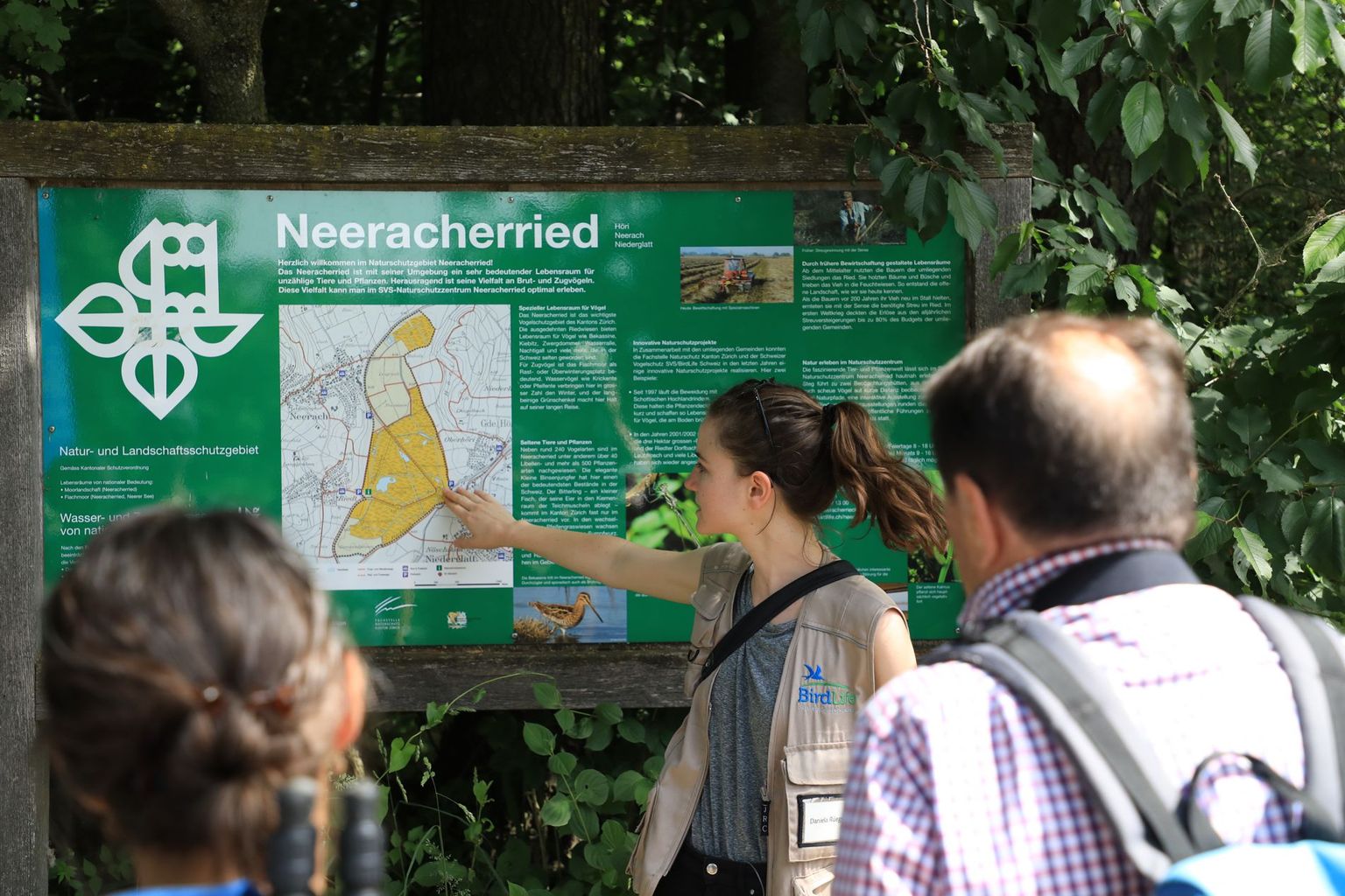 Neeracherried (Bild 02)