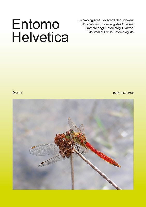 Entomo Helvetica 2013/6: Titelseite