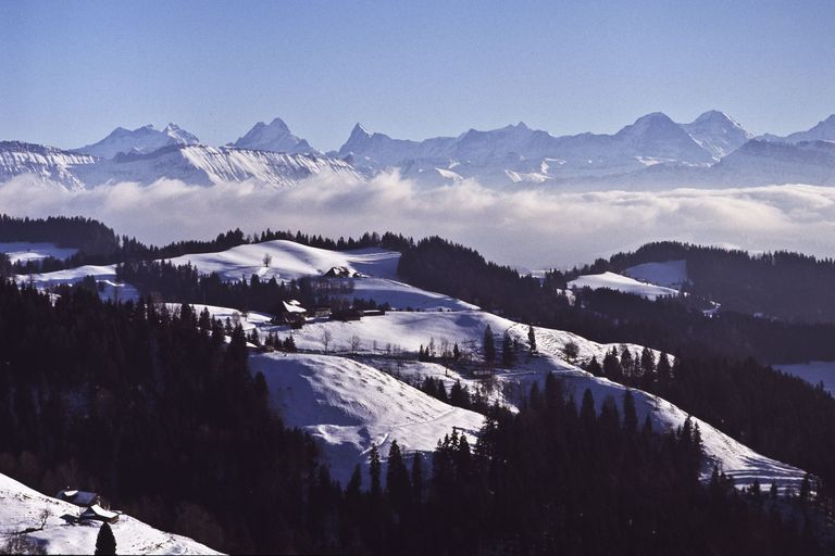 paesaggio invernale neve montagna bosco