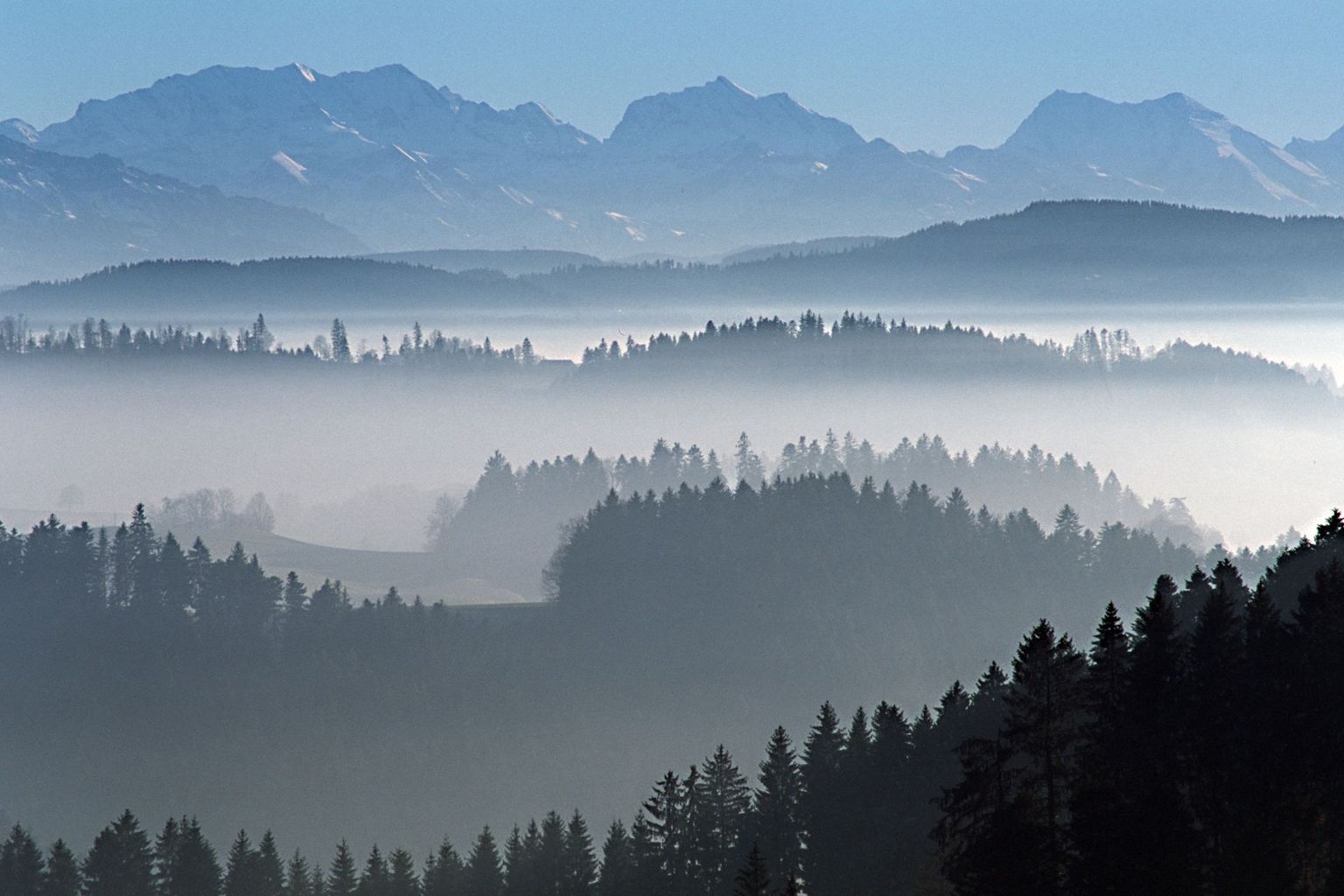 brouillard paysage colline montagne