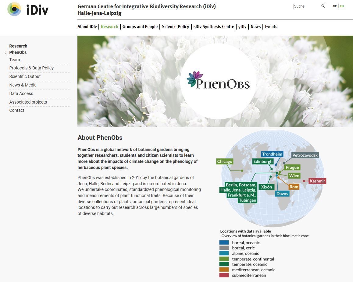 PhenObs wurde 2017 gegründet und ist ein globales Netzwerk Botanischer Gärten für phänologische Beobachtungen. PhenObs vereint Wissenschaftler, Studenten und Bürgerwissenschaftler in der Frage, welchen Einfluss der Klimawandel auf die Phänologie von krautigen Pflanzenarten hat. https://www.idiv.de/en/phenobs.html