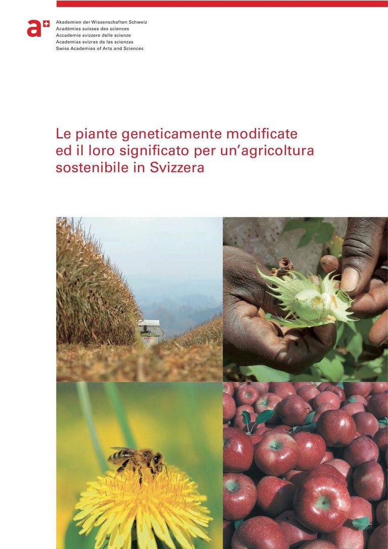 Rapporto: Le piante geneticamente modificate ed il loro significato per un’agricoltura sostenibile in Svizzera (2013)