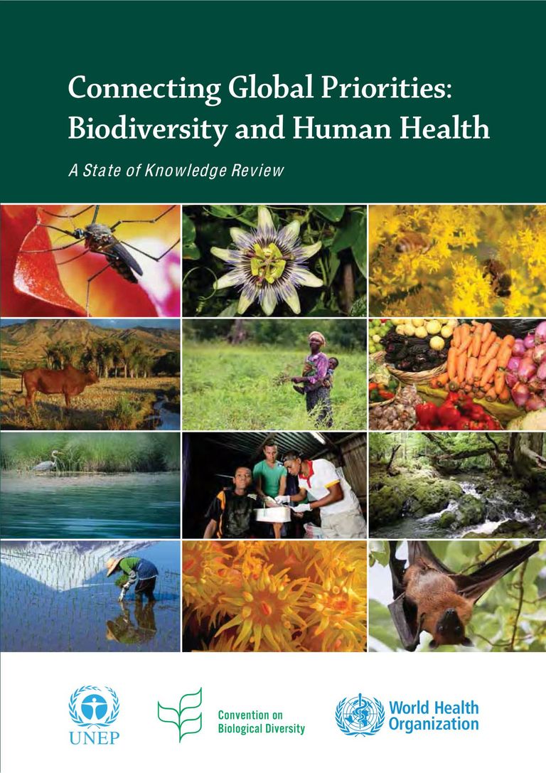 Full Report: Connecting global priorities - biodiversity and human health