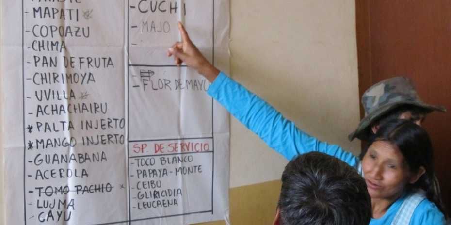 Farmers in Bolivia are deciding on the best tree species to be planted in agroforestry systems to improve their climate change resilience and food security