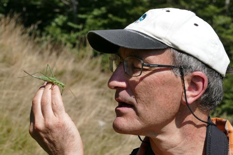 Der Prix Moulines 2019 für eine herausragende entomologische  Publikation geht an das Buch «Insekten im Wald» von Beat Wermelinger.
