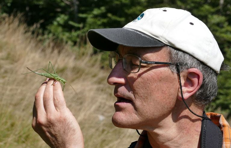 Le Prix Moulines 2019 pour une publication entomologique exceptionnelle est attribué au livre "Insekten im Wald" de Beat Wermelinger.