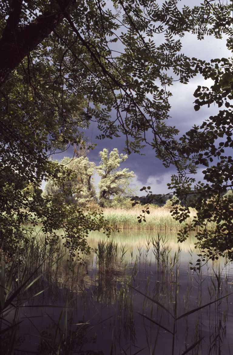 orageux atmosphère lac forêt alluviale