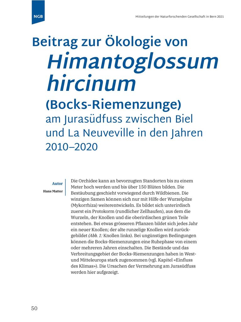 Beitrag zur Ökologie von Himantoglossum hircinum (Bocks-Riemenzunge)