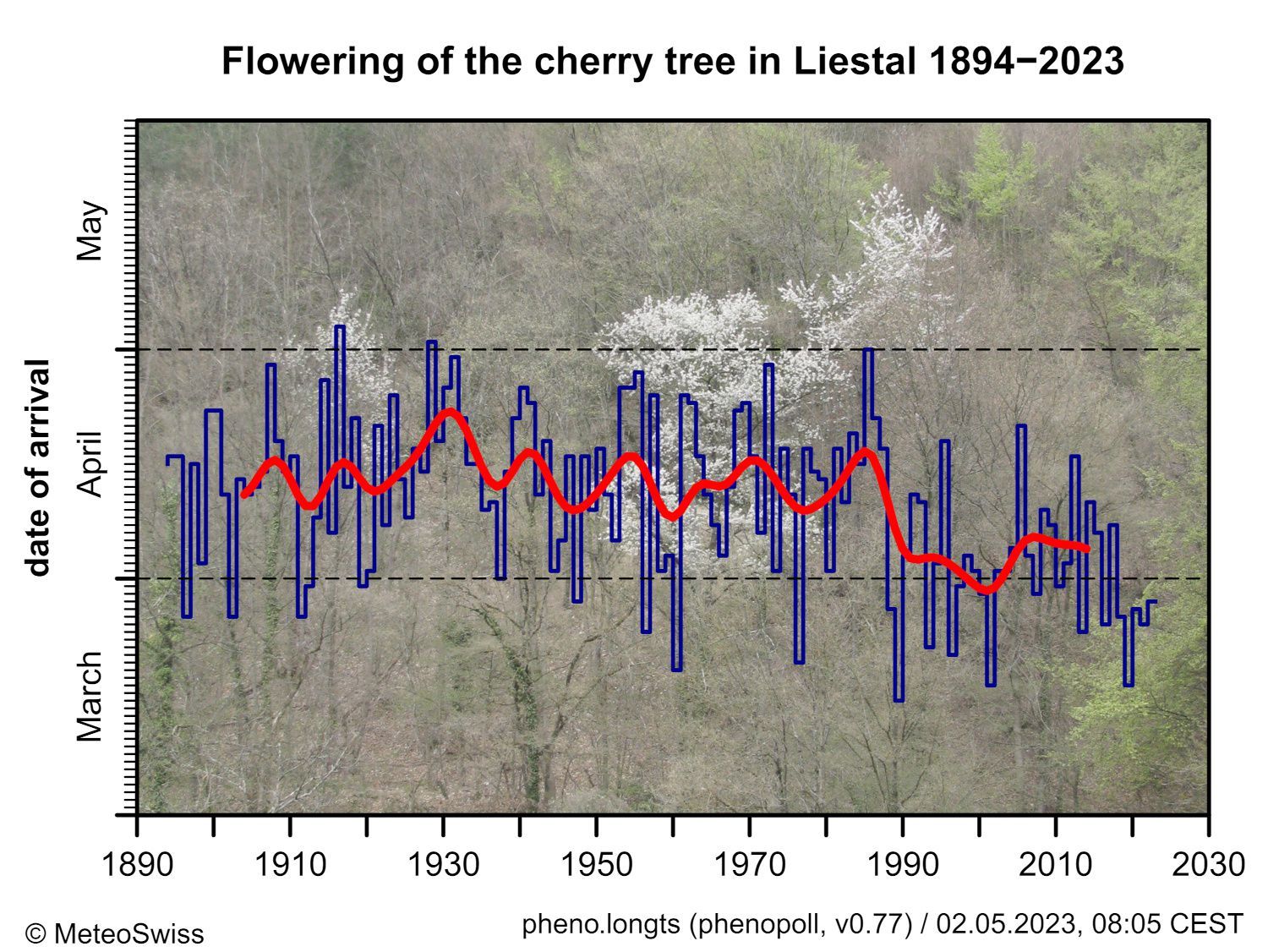 Blüte des Kirschbaums in Liestal-Weideli seit 1894. Die rote Linie zeigt das 20-jährige gewichtete Mittel (Gaußscher Tiefpaßfilter).