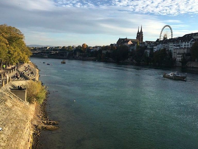 Im Rhein bei Basel floss Ende Oktober nur halb so viel Wasser vorbei als sonst im Oktober. Die Treppe am Rheinufer (links im Bild) führt normalerweise direkt ins Wasser.