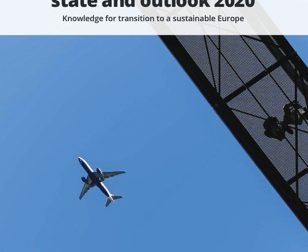 EEA (2019) The European environment — state and outlook 2020: knowledge for transition to a sustainable Europe