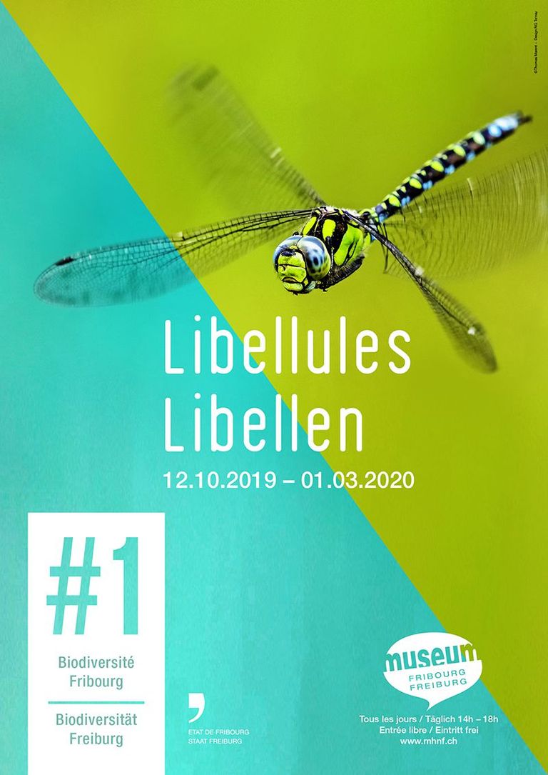 Libellules - #1 Biodiversité Fribourg