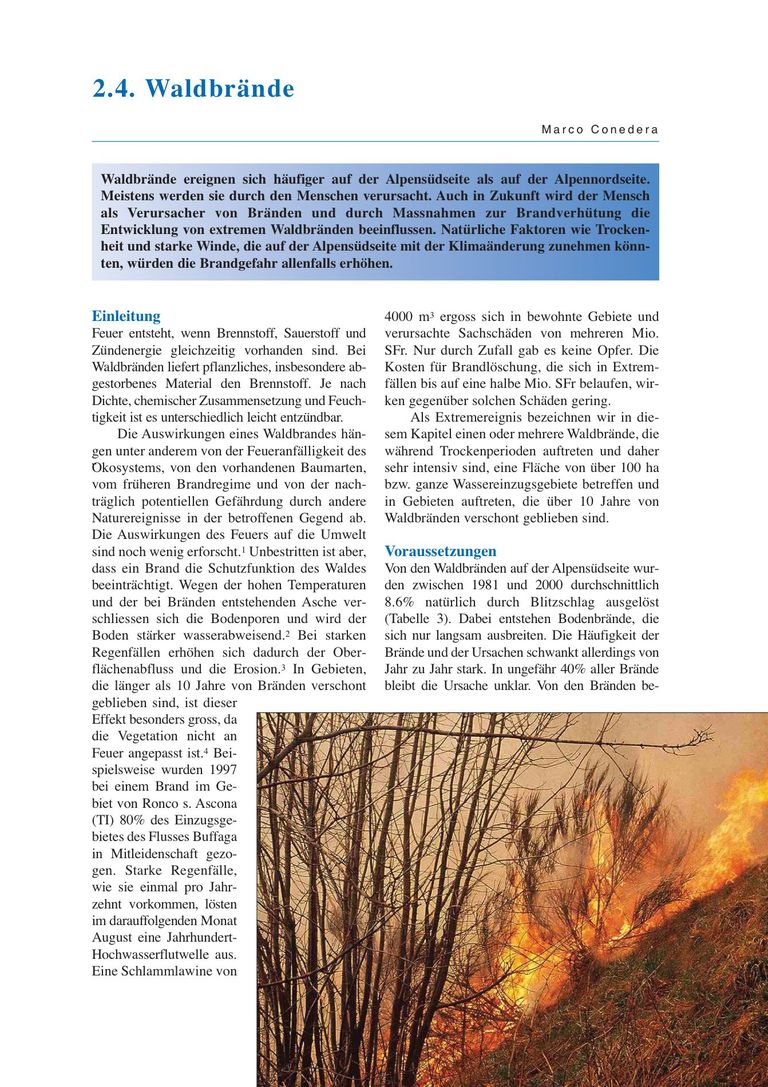 Kapitel aus OcCC-Bericht: Waldbrände
