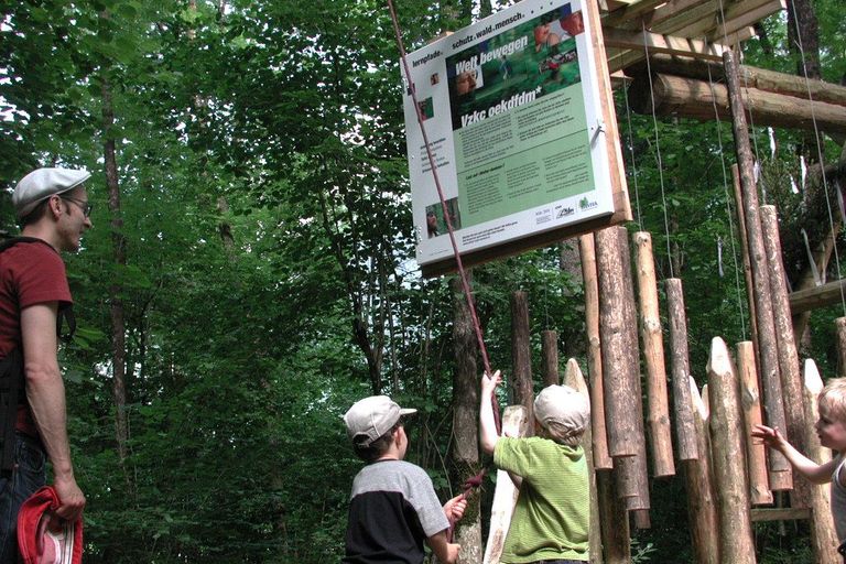 Kinder erkunden eine Station auf dem Lernpfad Schutz.Wald.Mensch