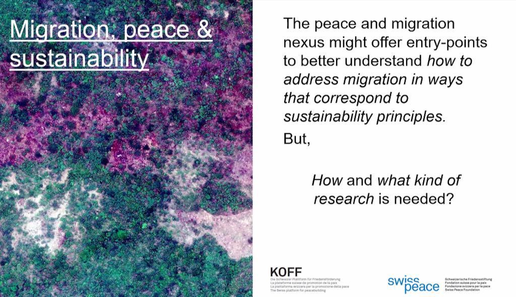 swisspeace migration, peace and sustainability