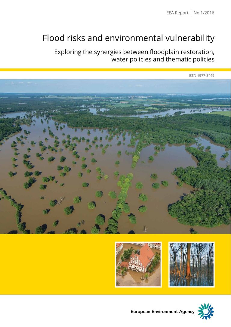 EEA report No 1/2016: Flood risks and environmental vulnerability: Floodplain management: reducing flood risks and restoring healthy ecosystems
