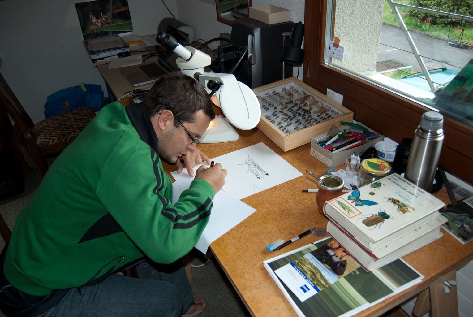 Christian Roesti beim Zeichnen einer Heuschrecke. Die Tuschezeichnungen im Steinfliegenbuch sind alle von Hand gemacht unter einem Binokular mit Zeichenspiegel.