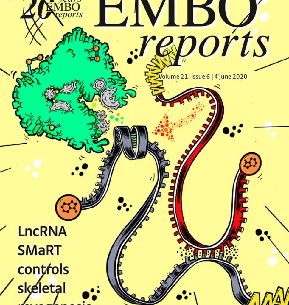 EMBO reports 2020