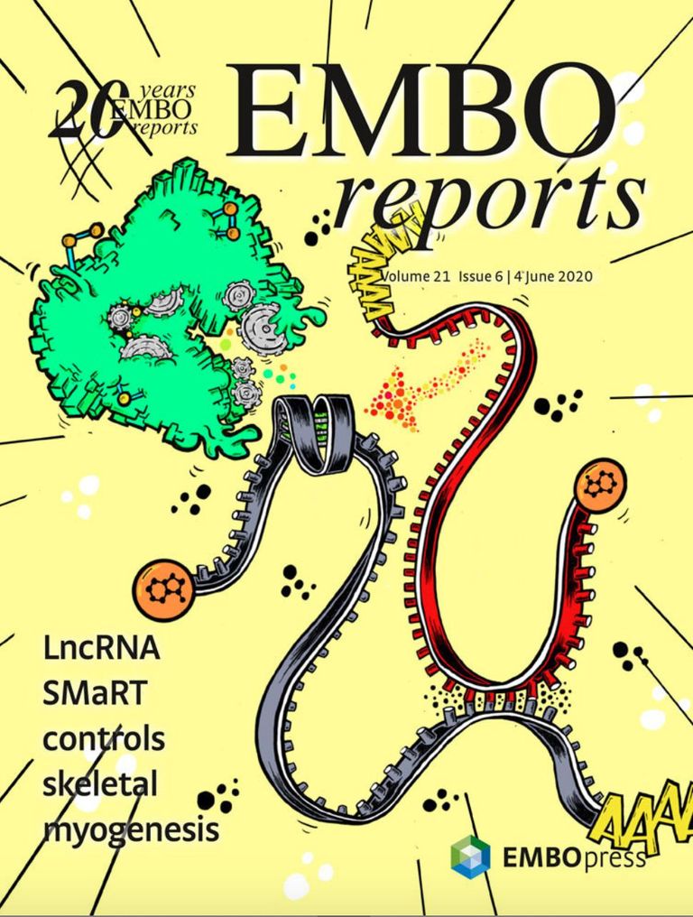 EMBO reports 2020