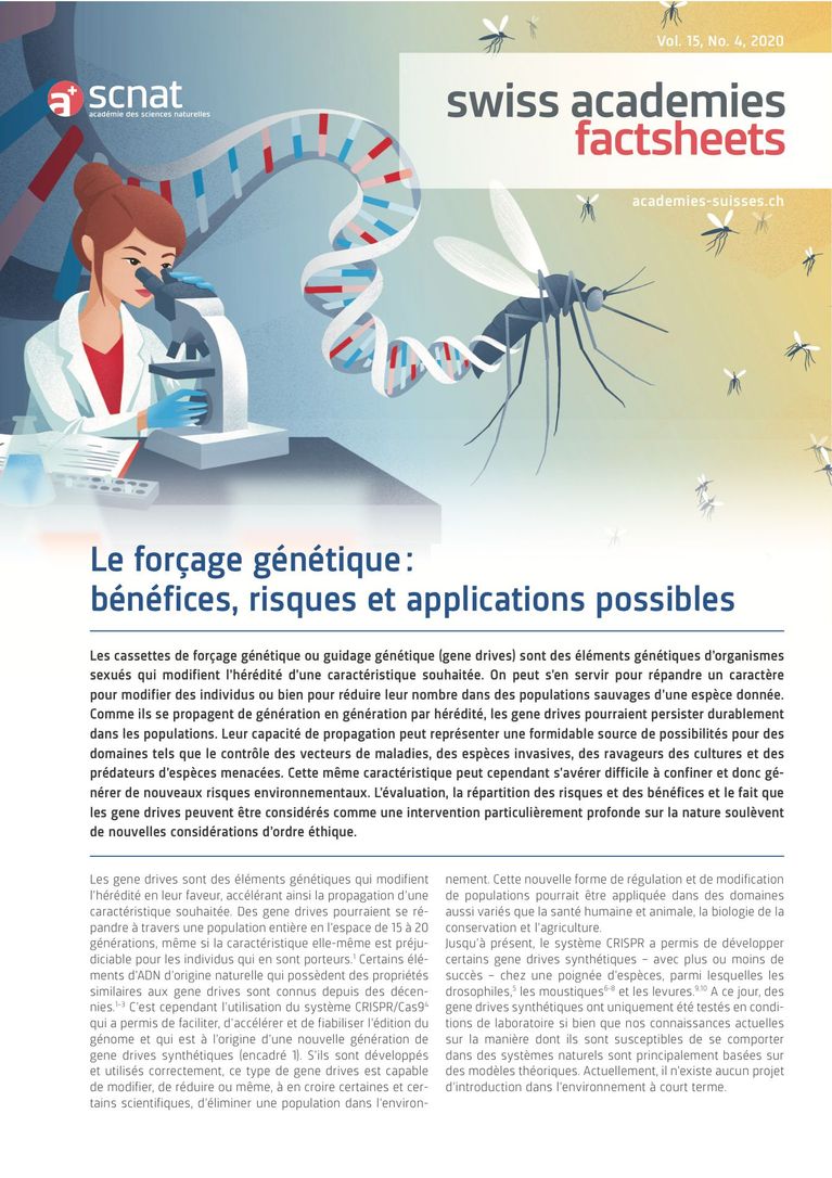 Le forçage génétique : bénéfices, risques et applications possibles