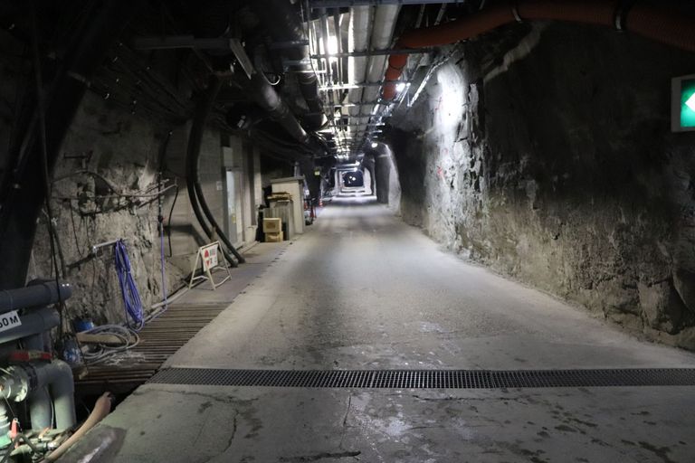 Ein 1.7 km langer Tunnel führt zum Neutrino-Detektor Super-Kamiokande. Foto: B. Vogel