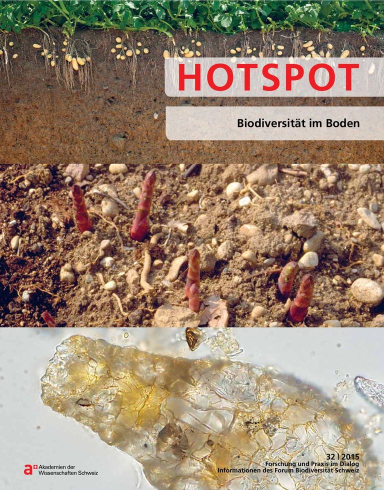 HOTSPOT 32/15: Biodiversität im Boden