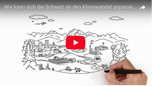 Wie kann sich die Schweiz an den Klimawandel anpassen?