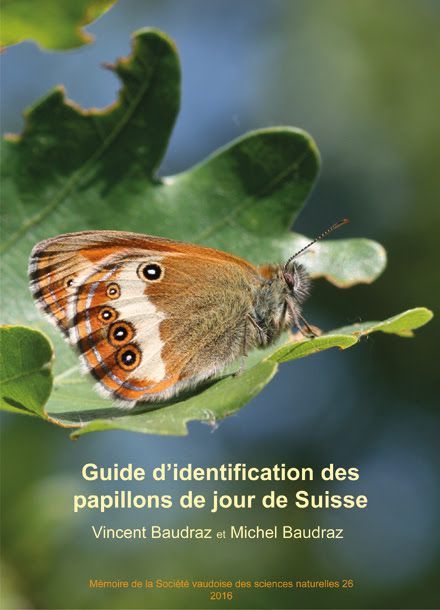 Guide d'identification des papillons de jour de Suisse_1