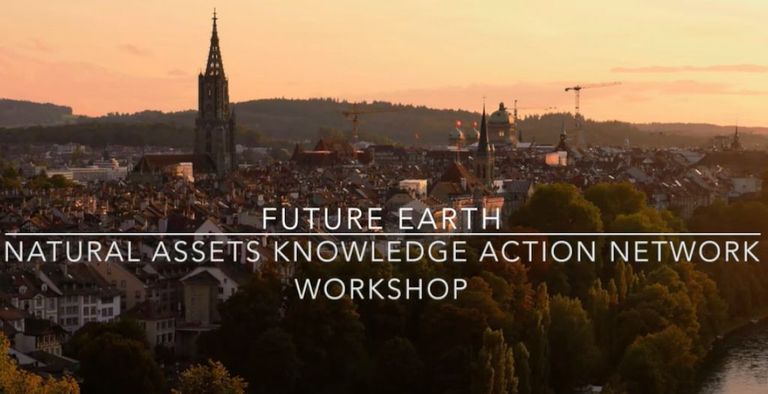 Workshop for the Future Earth Knowledge Action Network on Natural Assests