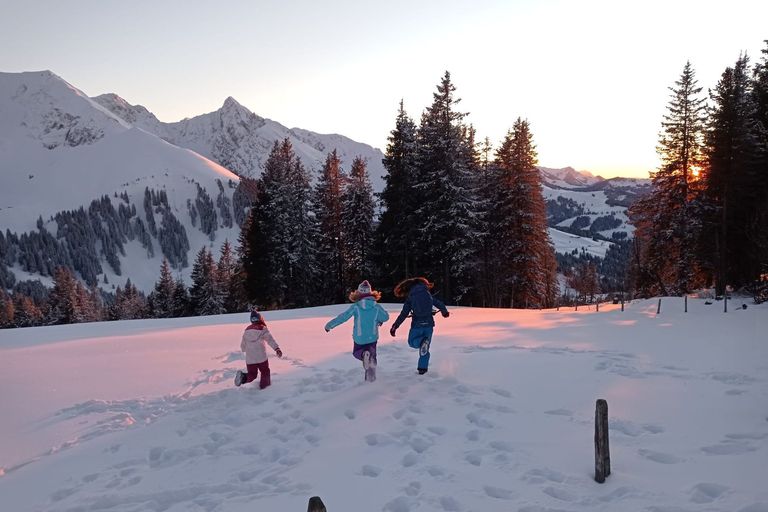 Schneeschuhtour, Naturpark Gantrisch