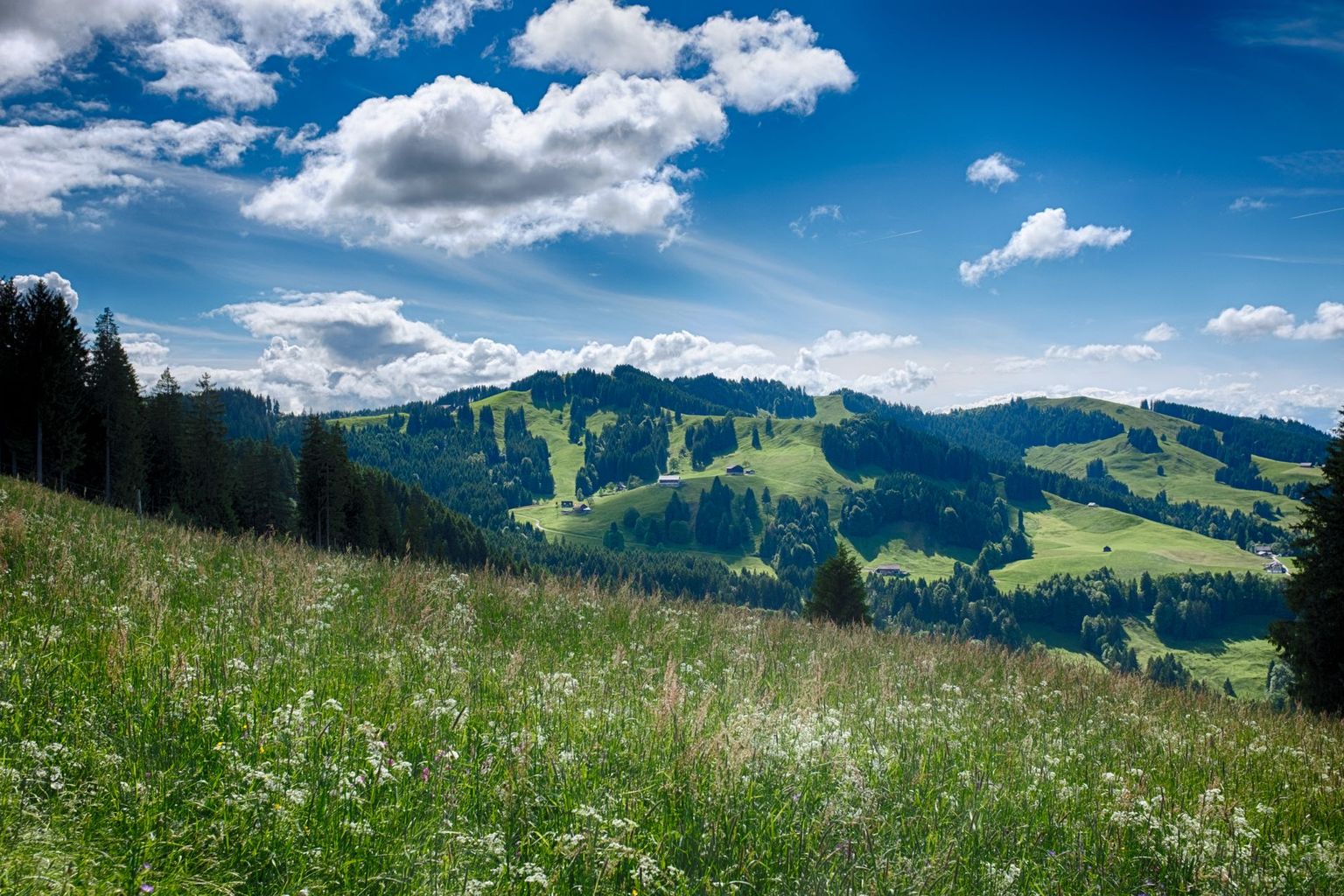 Pre-Alpine country near Lachen