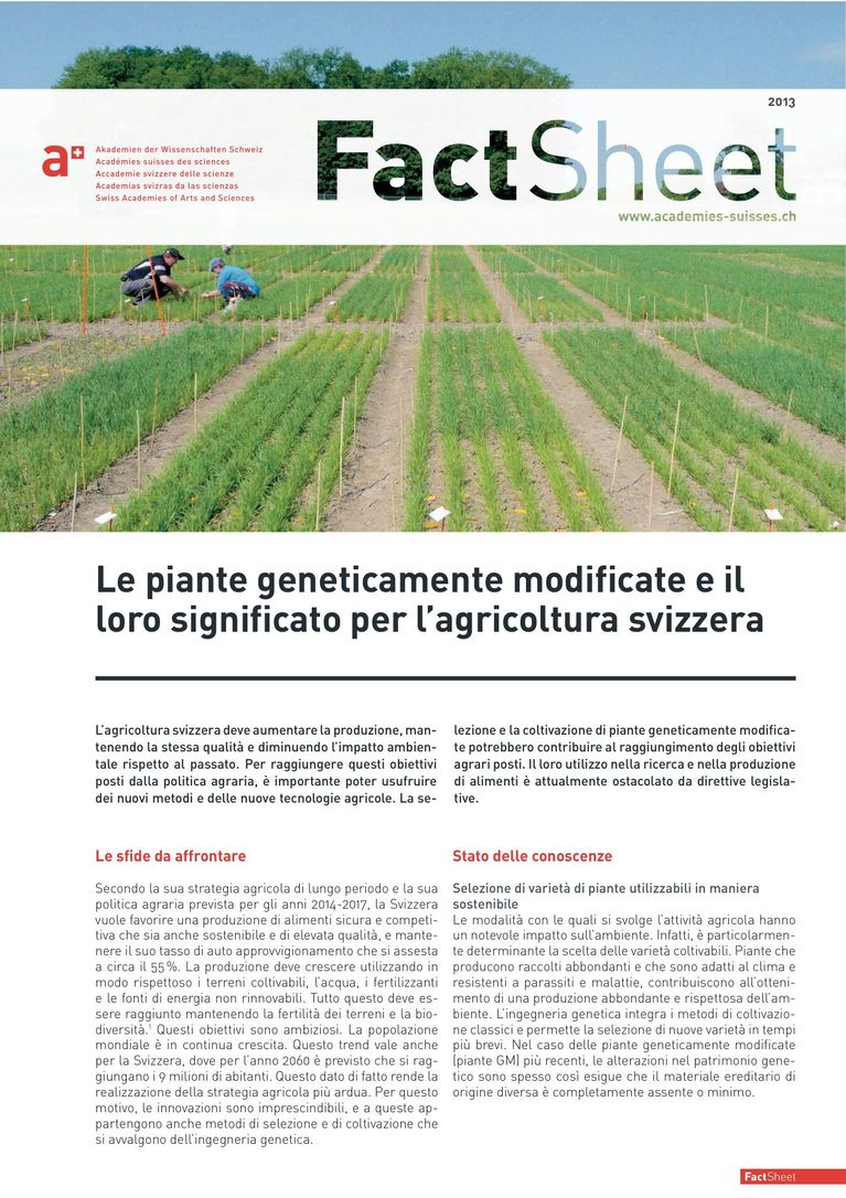 Factsheet: Le piante geneticamente modificate e il loro significato per l'agricoltura svizzera (2013)