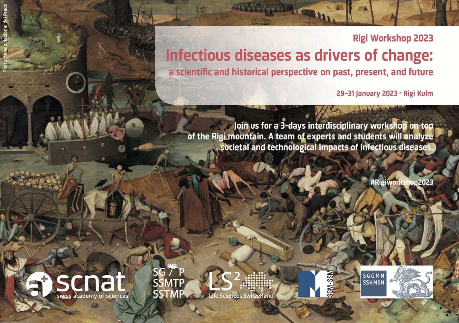 Rigi Workshop 2023 - Infectious Diseases as Drivers of Change