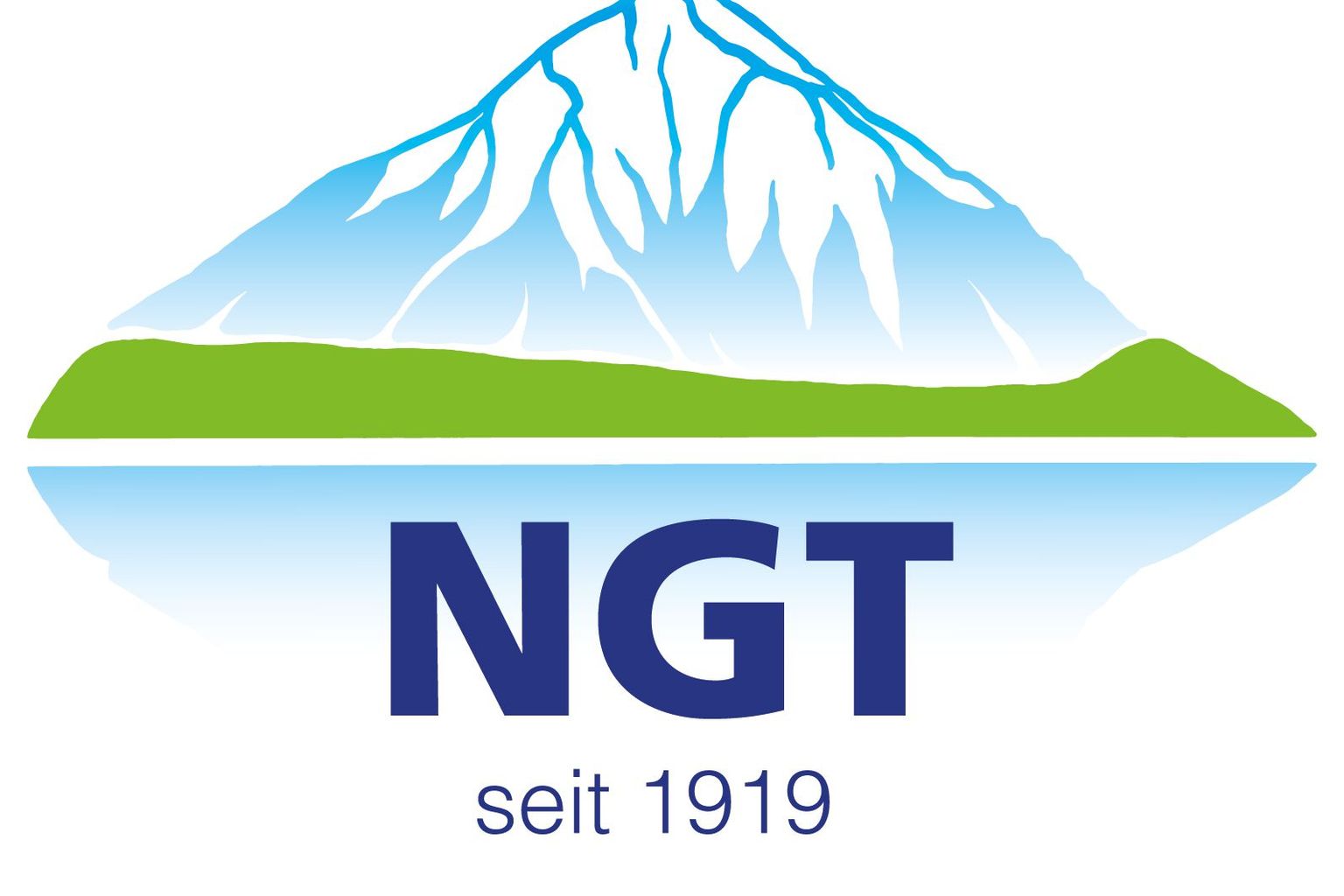 NGT-Logo