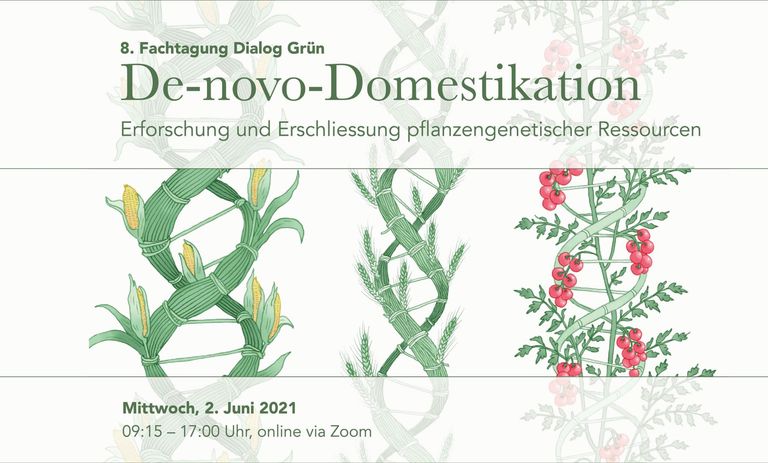 De-novo-Domestikation: Erforschung und Erschliessung pflanzengenetischer Ressourcen