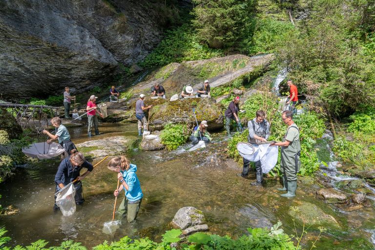 Ein Feldteam aus rund 20 Gewässerspezialistinnen und -spezialisten ist in der ganzen Schweiz unterwegs, um jedes Jahr rund 100 Gewässerabschnitte mittels Kick-Sampling zu beproben, die Ökomorphologie zu ermitteln und die Gewässerwirbellosen auf Familienniveau zu bestimmen.