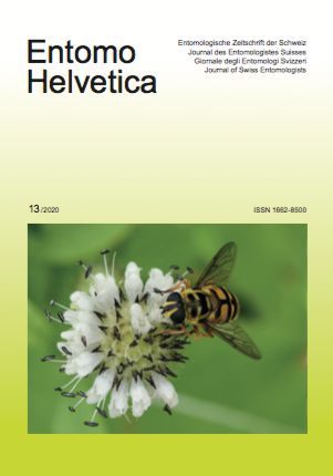 Vignette, Entomo Helvetica, 13/2020