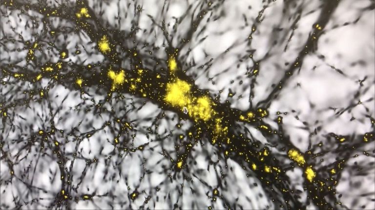 Ausschnitt aus der von Dr. Joachim Stadel und weiteren Wissenschaftlern der Universität Zürich erstellten Computersimulation: Jeder gelbe Punkt ist ein Halo aus Dunkler Materie, in dem eine Galaxie steckt. Die dunklen 'Fäden' sind Stellen im Universum mit einer hohen Dichte an Dunkler Materie, während an den hellen Stellen ('voids') nur wenig Dunkle Materie vorhanden ist.