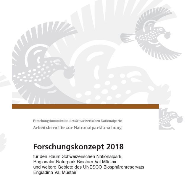 Titelblatt Forschungskonzept FoK 2018