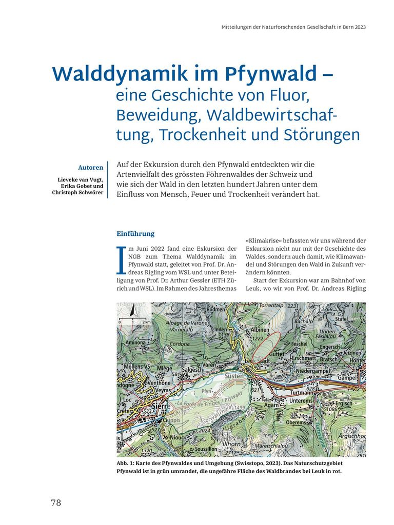Walddynamik im Pfynwald