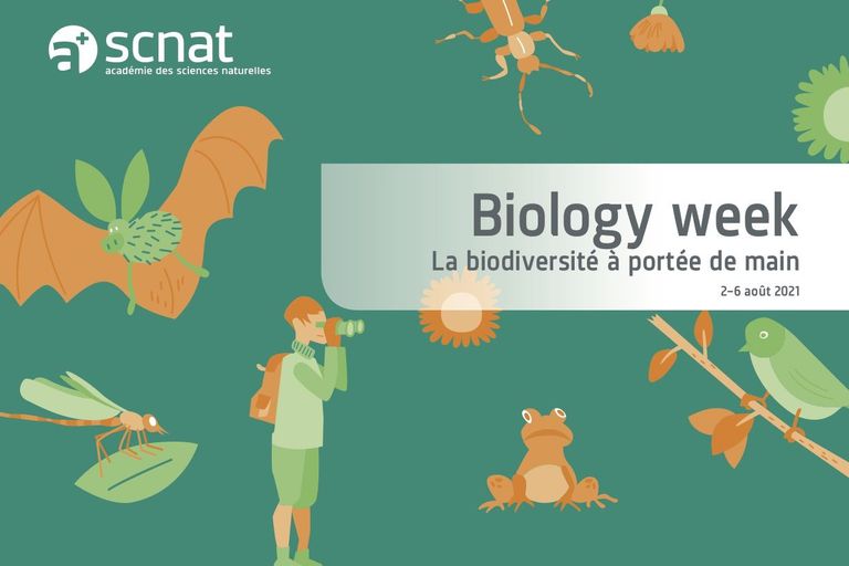 Biology Week 2021: vignette