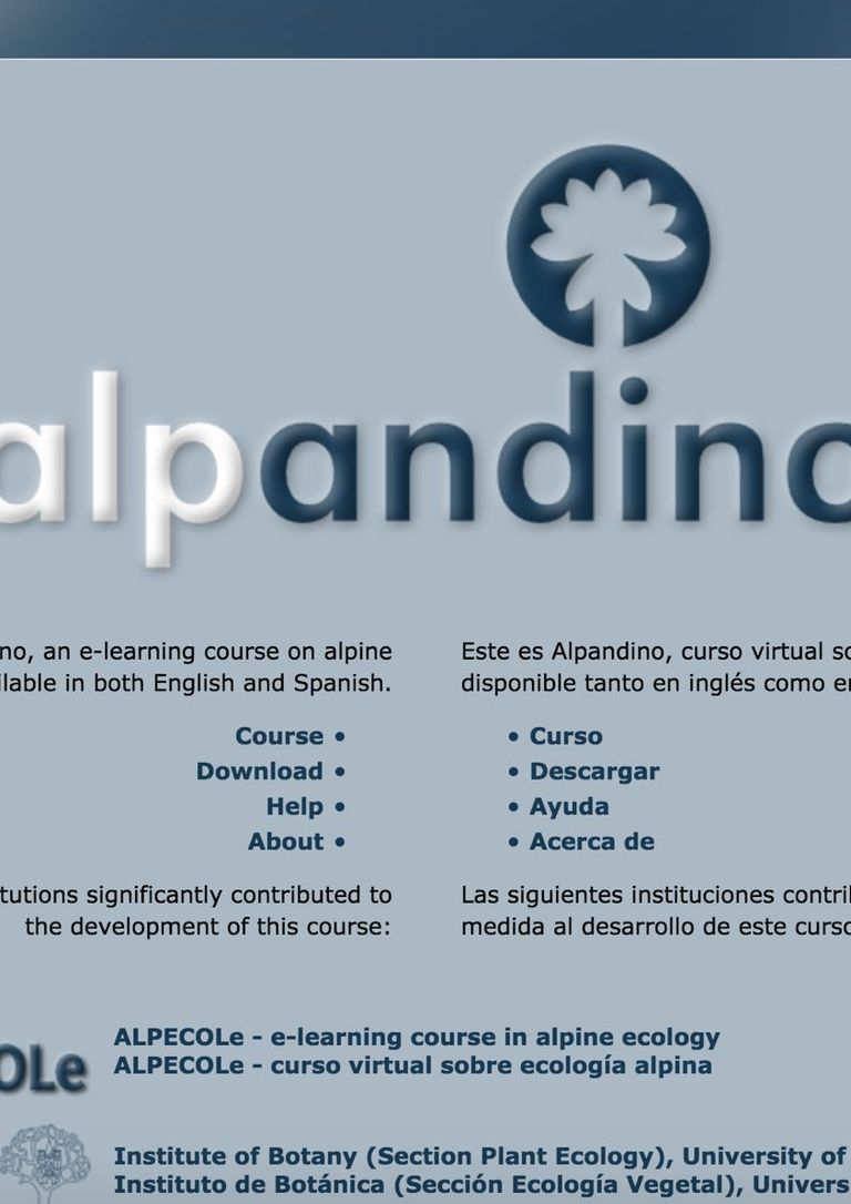 Alpandino Website
