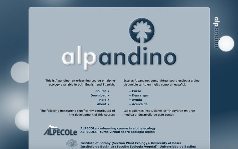 Alpandino Website